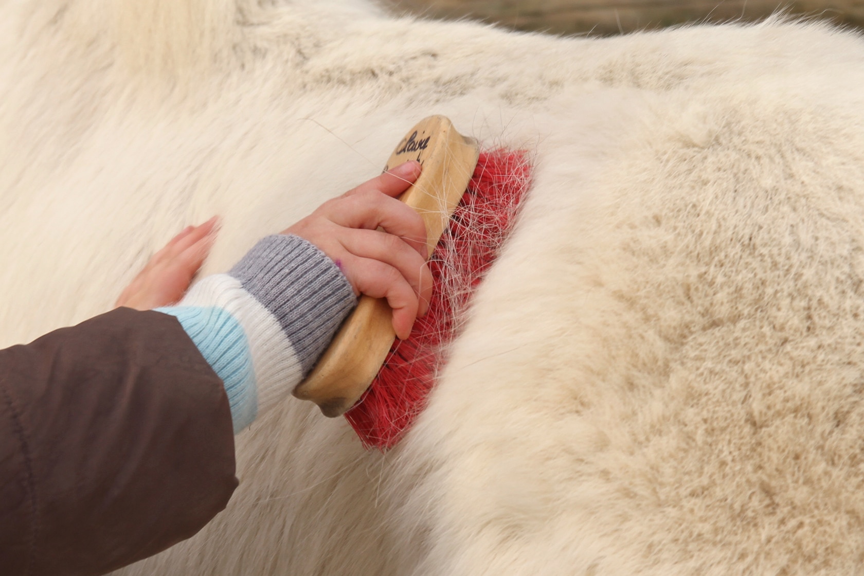 Le travail à l'extérieur - centre equestre - École Expérimentale de Bonneuil