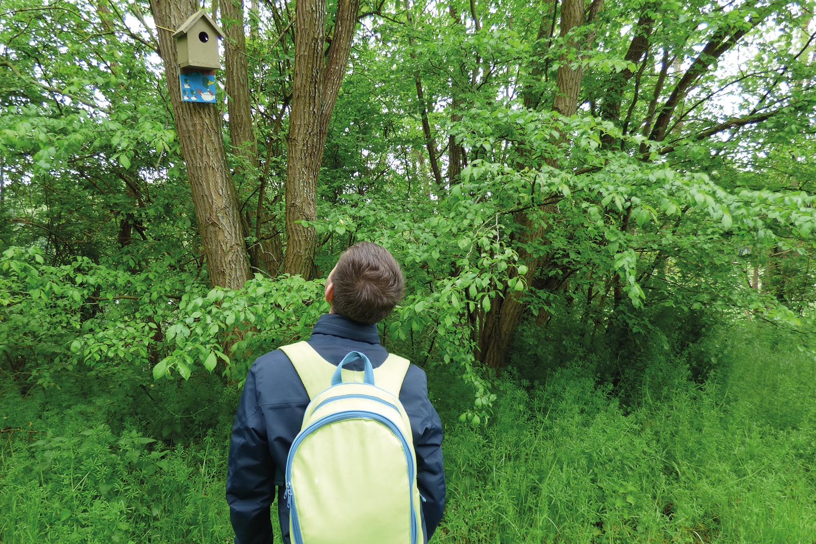 Les ateliers et les activités - Enfant déambulant dans le jardin - École Expérimentale de Bonneuil