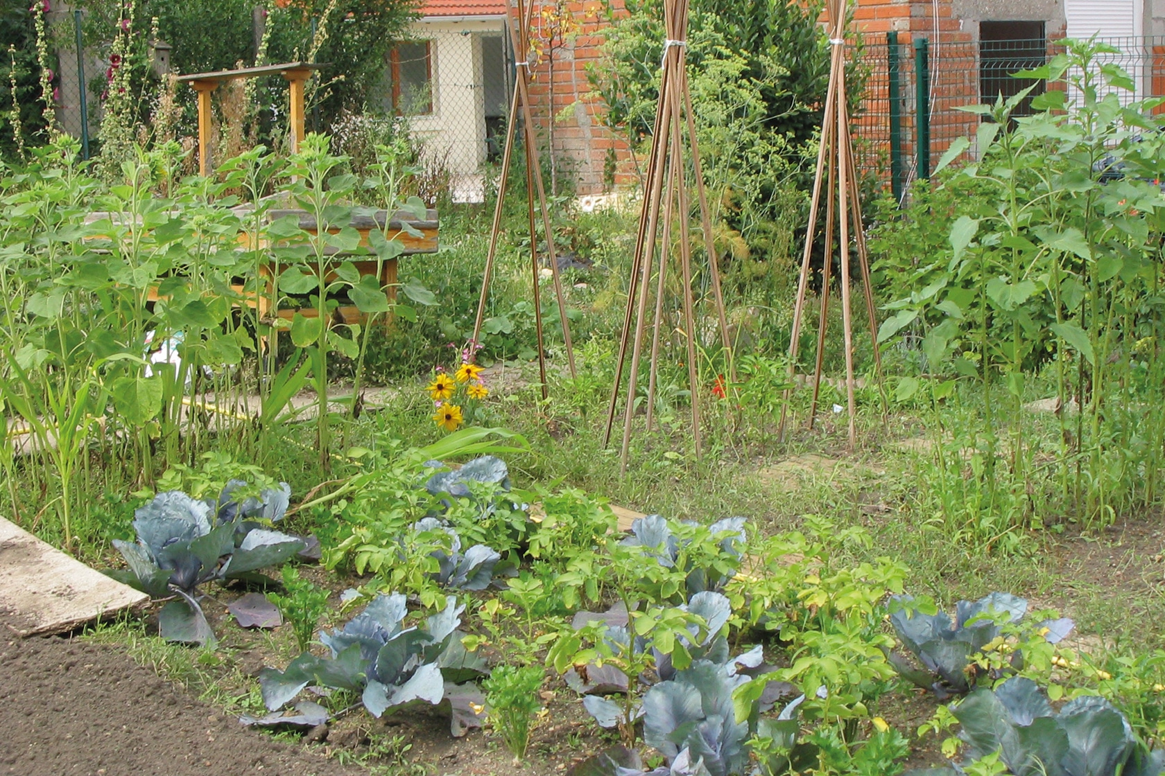 Les ateliers et les activités - le potager - École Expérimentale de Bonneuil